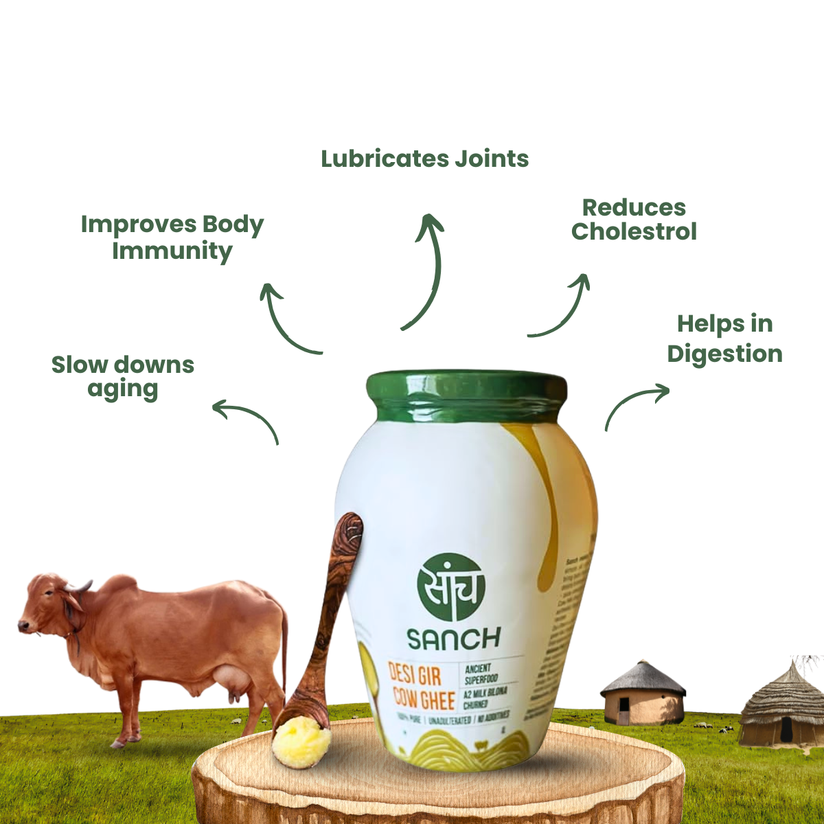 A2 Bilona Gir Cow Ghee
